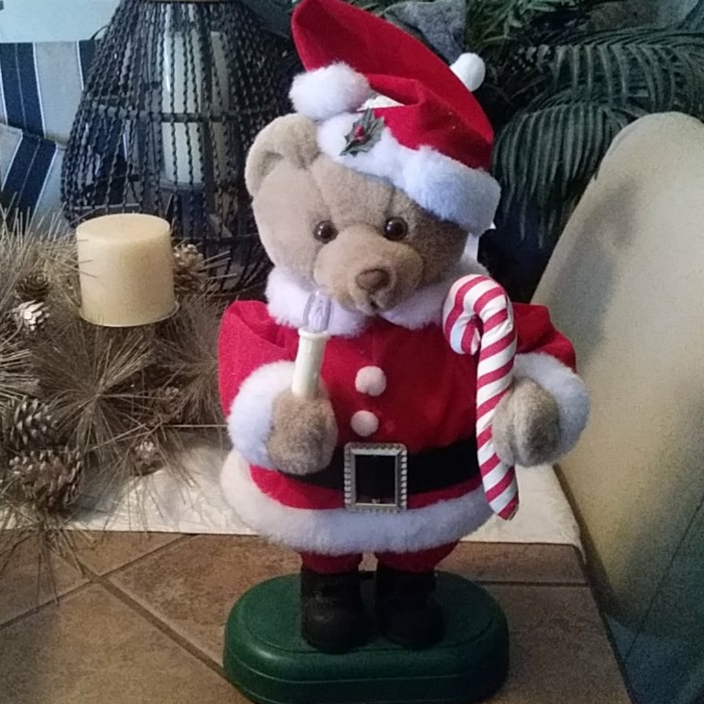 Bear Santa Claus